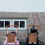 Søskendepakken - 2 børneladcykler inkl. hjelm, flaskeholder, håndtag i 2 farver og ringklokke - BørnecyklerneChantyBørnecyklerneSortSøskendepakken - 2 børneladcykler inkl. hjelm, flaskeholder, håndtag i 2 farver og ringklokkeSort